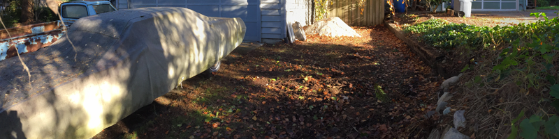 Property cleanout before and after